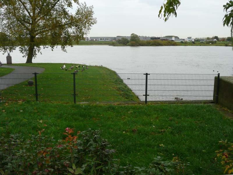 De Zilveren Karper IJsselmuiden Экстерьер фото